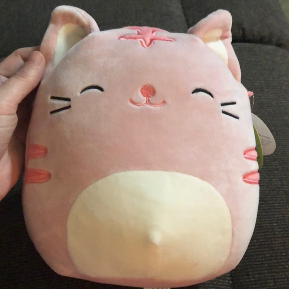 Squishmallows Other - Squishmallow Paulita the Cat 🐱 New with tags
